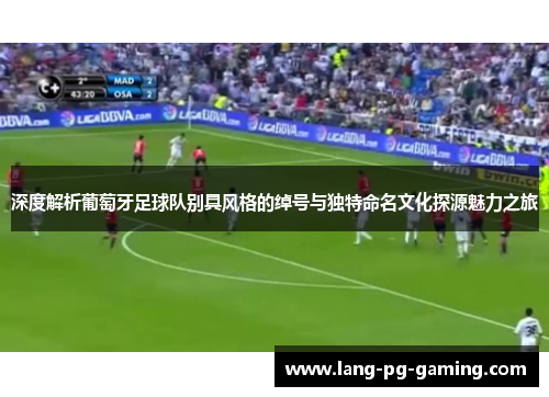 深度解析葡萄牙足球队别具风格的绰号与独特命名文化探源魅力之旅